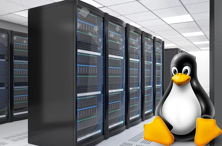 63bfb1d5b2a50.png 購買Linux服務器需要考慮哪些因素?.png