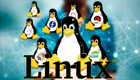 linux分區滿了怎么辦？.png
